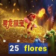 25 flores silvestres desbravadores